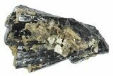 Lustrous Ilvaite Crystal Cluster with Quartz - Inner Mongolia #173105-1